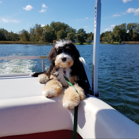 Meet your Posher, Kathy - Picture 3 of 4